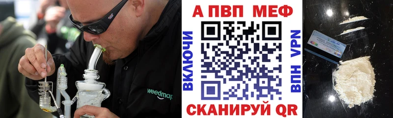 A-PVP СК КРИС  Бородино 