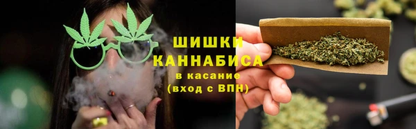 гидра Струнино