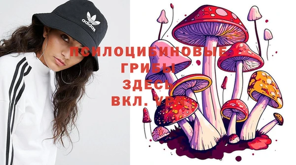 гидра Струнино