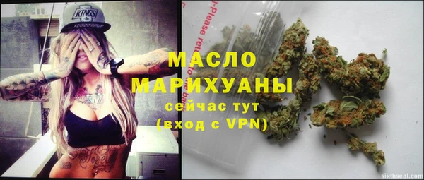 гидра Струнино
