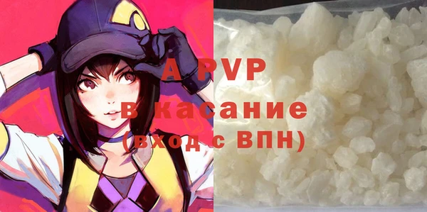 гидра Струнино